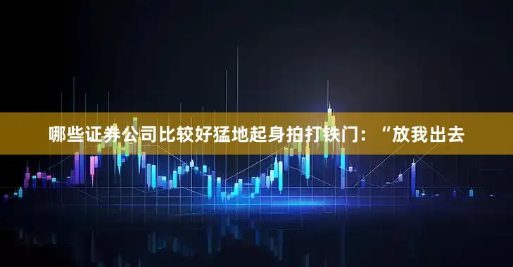 哪些证券公司比较好猛地起身拍打铁门：“放我出去