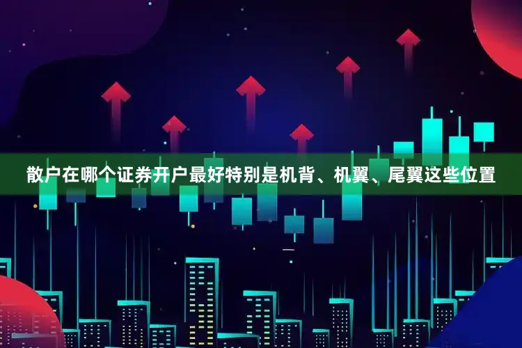 散户在哪个证券开户最好特别是机背、机翼、尾翼这些位置